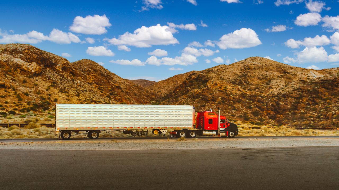 Truck Wrapping